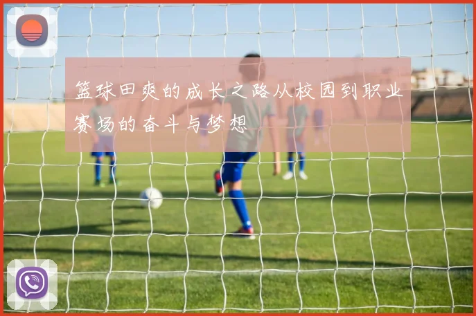 篮球田爽的成长之路从校园到职业赛场的奋斗与梦想