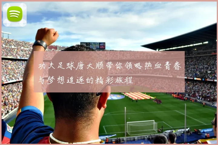 功夫足球唐大顺带你领略热血青春与梦想追逐的精彩旅程