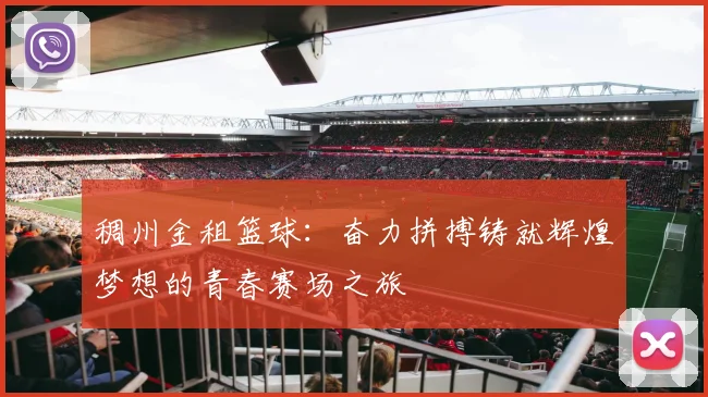 稠州金租篮球：奋力拼搏铸就辉煌梦想的青春赛场之旅