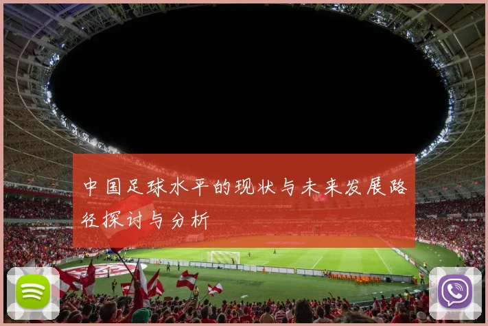 中国足球水平的现状与未来发展路径探讨与分析