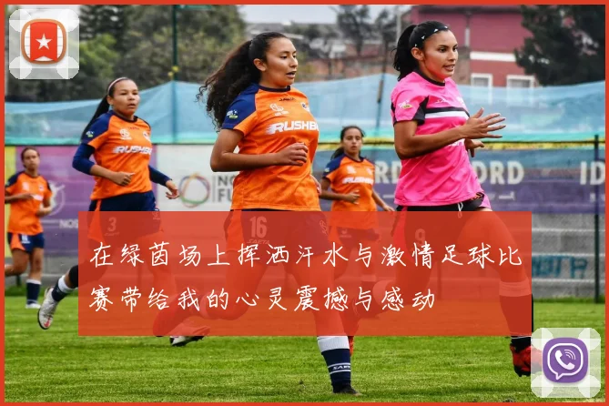 在绿茵场上挥洒汗水与激情足球比赛带给我的心灵震撼与感动