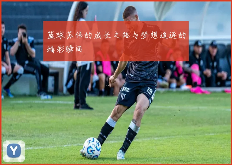 篮球苏伟的成长之路与梦想追逐的精彩瞬间