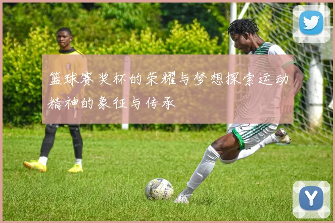 篮球赛奖杯的荣耀与梦想探索运动精神的象征与传承