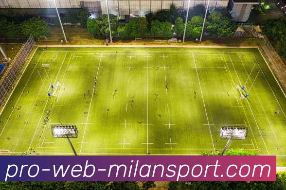 华西足球场周边美食探索及休闲活动推荐让您尽享精彩周末时光